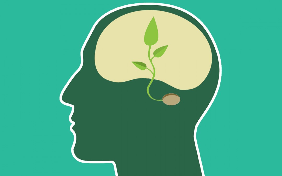 environmental-psychology-1080×675