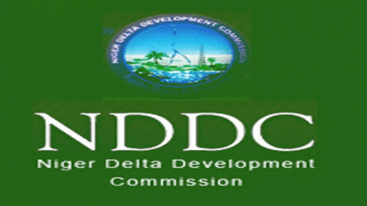 nddc22