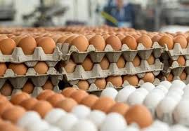 Eggs