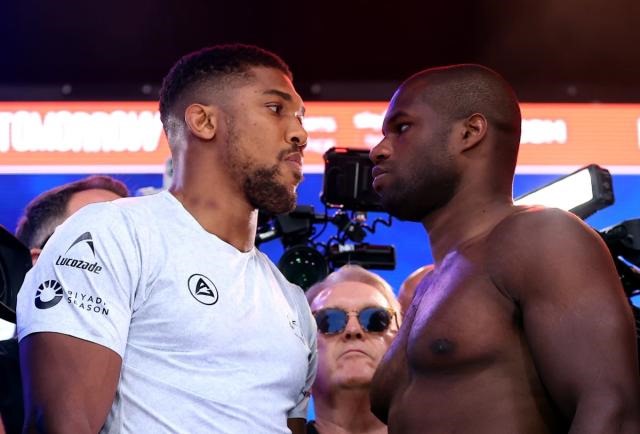 IBF Fight – Copy (1)